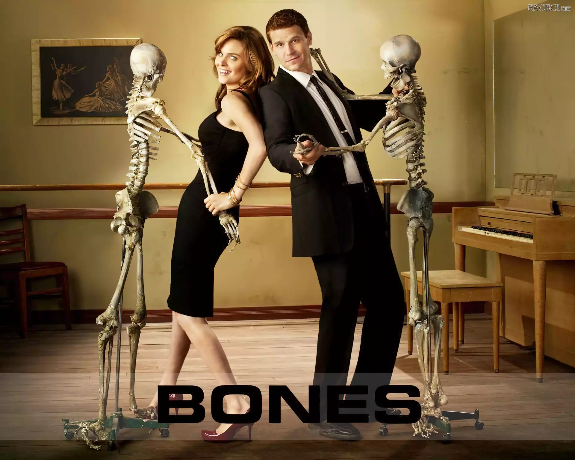 Bones, Serial, Szkielety, Emily Deschanel, Kości, David Boreanaz
